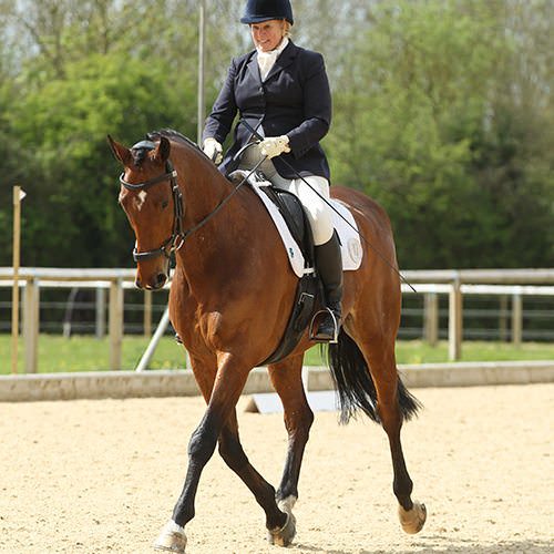 Amanda Brewer, British Dressage Accredited Trainer