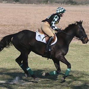 Amanda Brewer, British Dressage Accredited Trainer