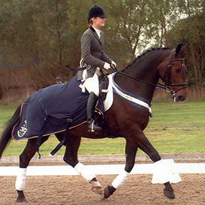 Amanda Brewer, British Dressage Accredited Trainer