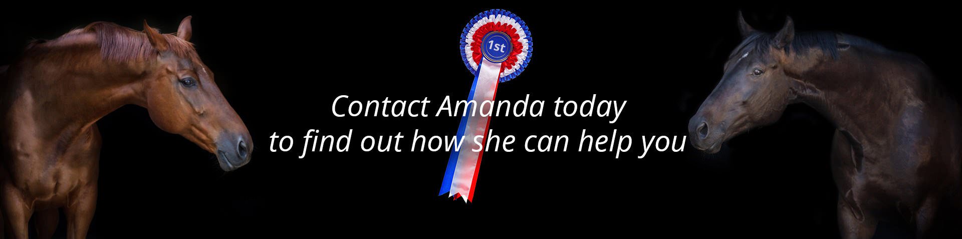 Amanda Brewer, Riding Instructor