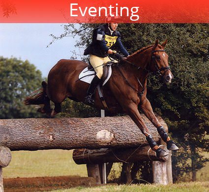 eventing trainer