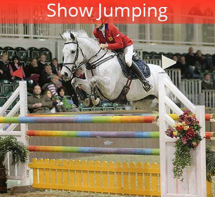 show jumping trainer