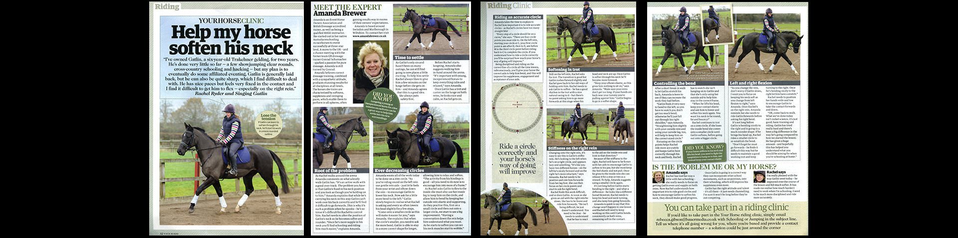 Help My Horse Soften His Neck